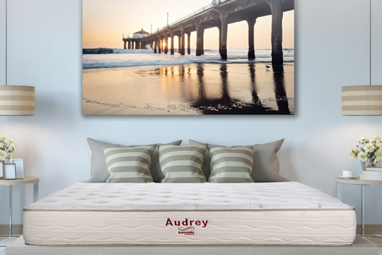 AUDREY_03